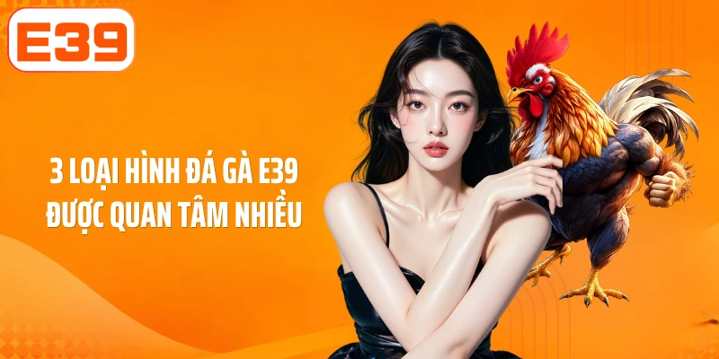 3 loại hình đá gà E39 được quan tâm nhiều